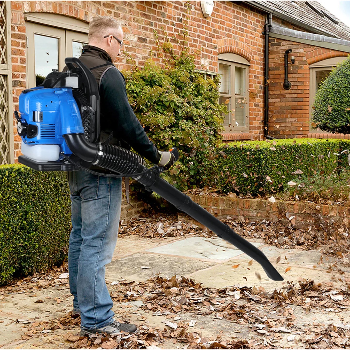 Leaf-snow Blower