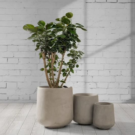 Vase Large Outdoor Indoor Planter