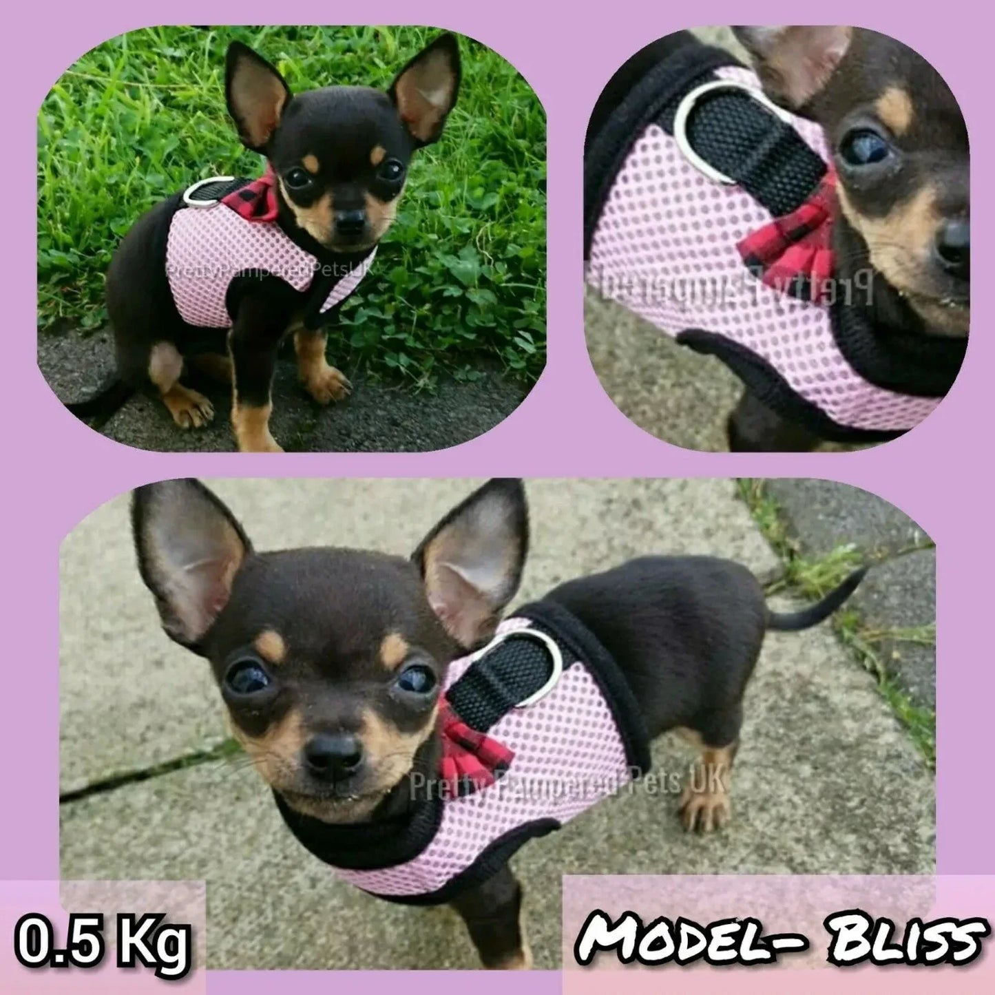 Soft Durable Pet harness