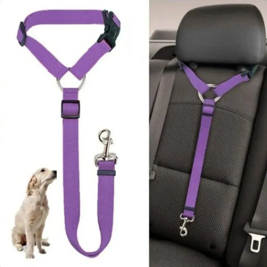 Secure, Adjustable, Comfortable Nylon  Safety Harness Collar